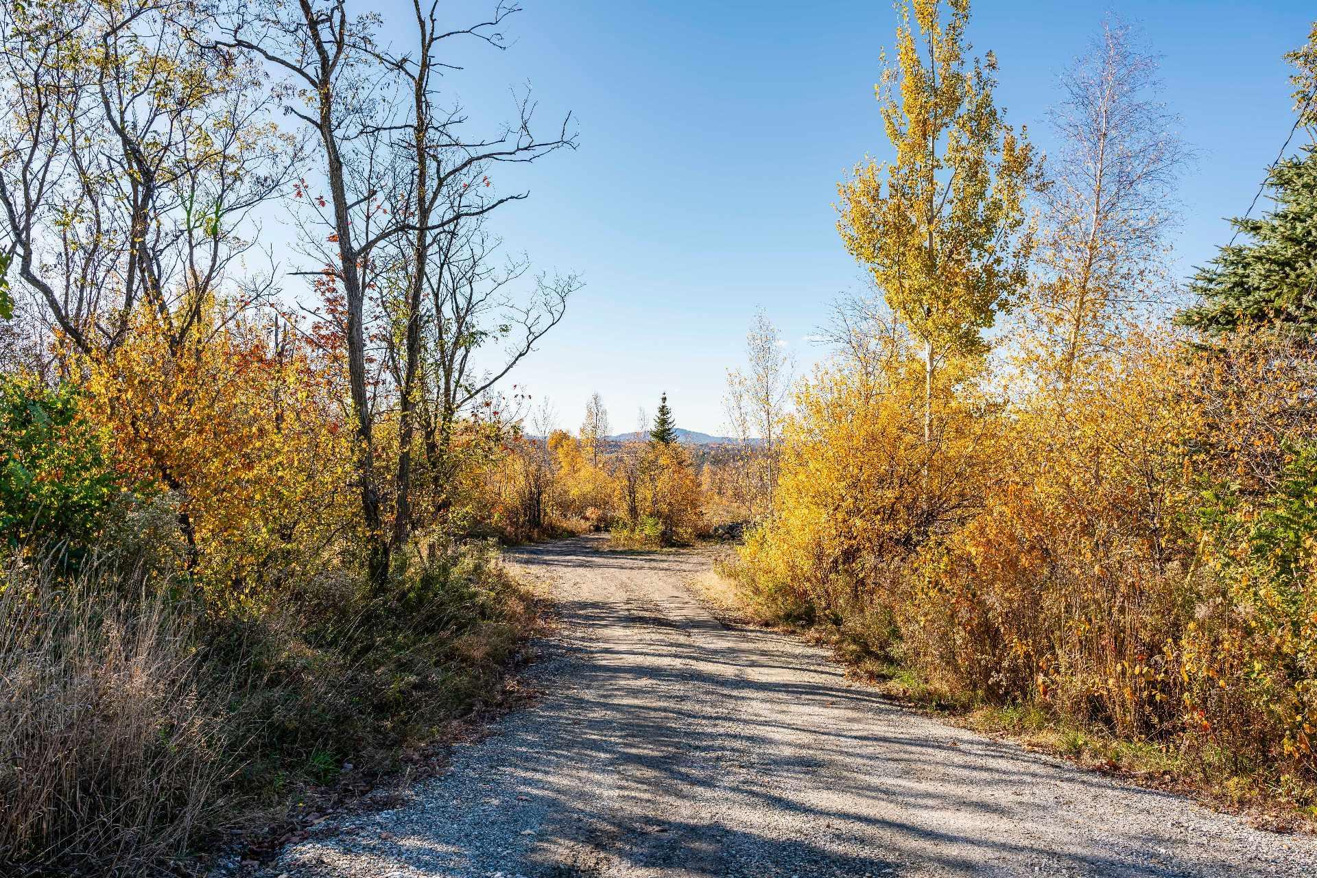 












Ch. du Lac

,
Sainte-Catherine-de-Hatley,







QC
J0B1W0

