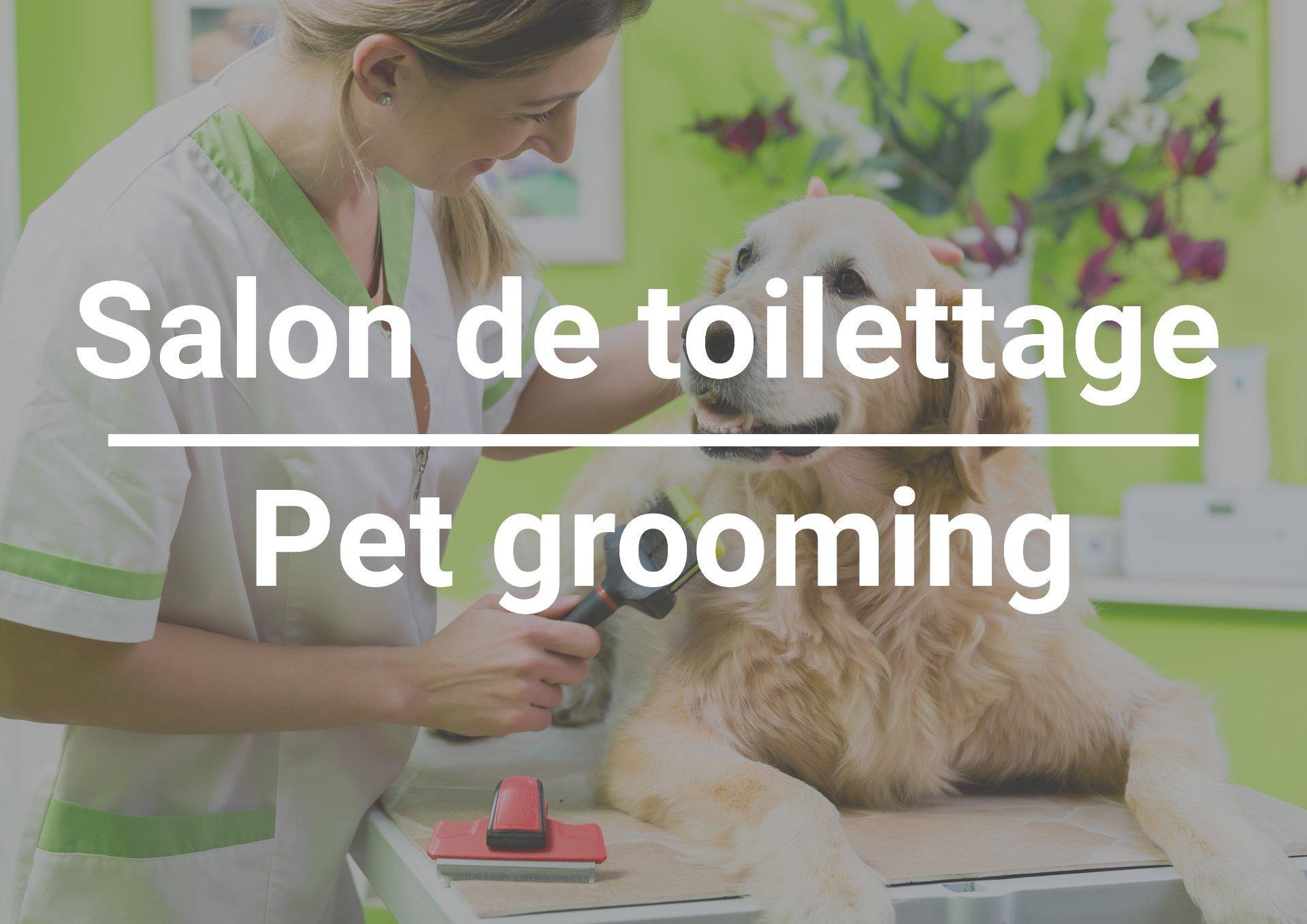 









12675


Rue Sherbrooke E.

,
Montréal (Rivière-des-Prairies/Pointe-aux-Trembles),




QC
H1A3W7

