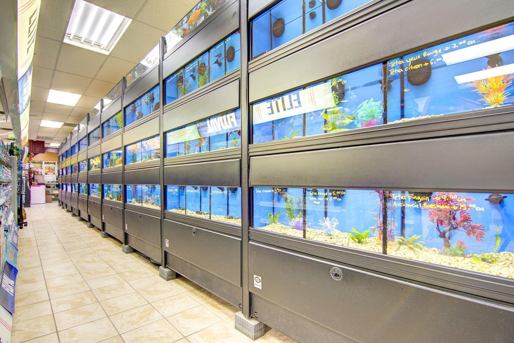 









12675


Rue Sherbrooke E.

,
Montréal (Rivière-des-Prairies/Pointe-aux-Trembles),




QC
H1A3W7

