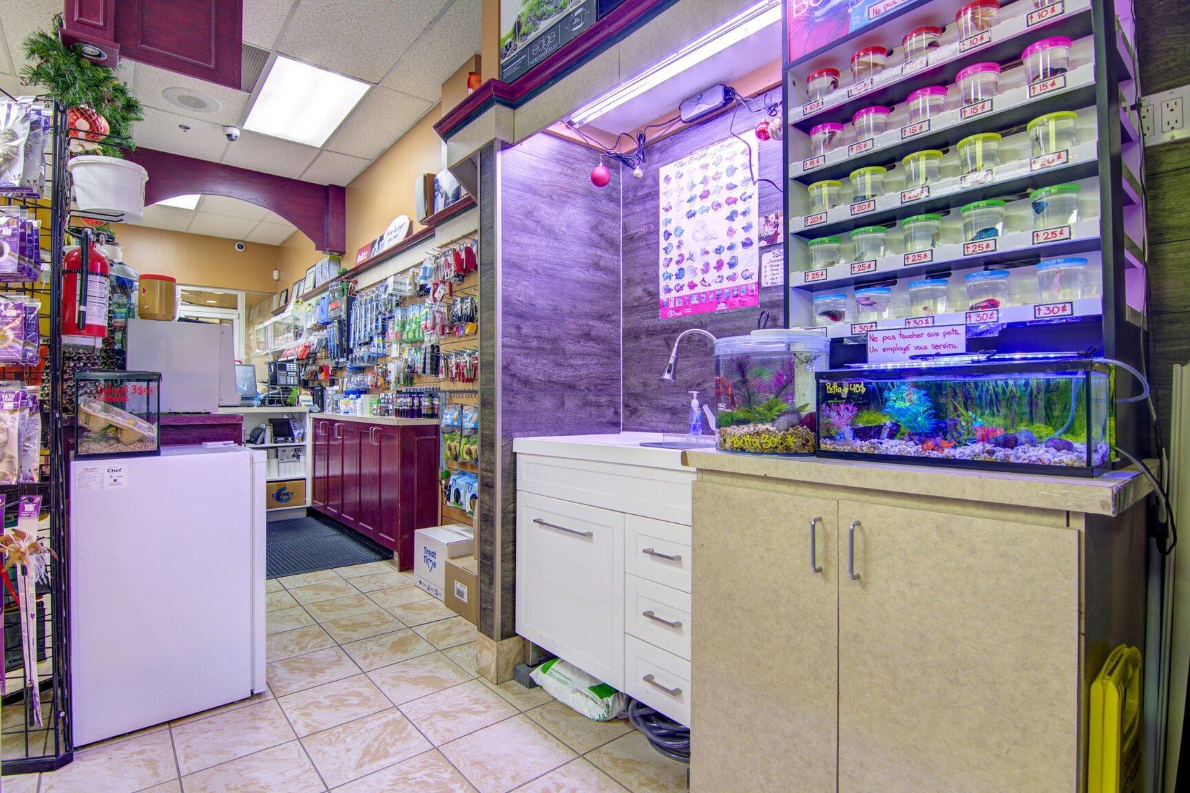 









12675


Rue Sherbrooke E.

,
Montréal (Rivière-des-Prairies/Pointe-aux-Trembles),




QC
H1A3W7

