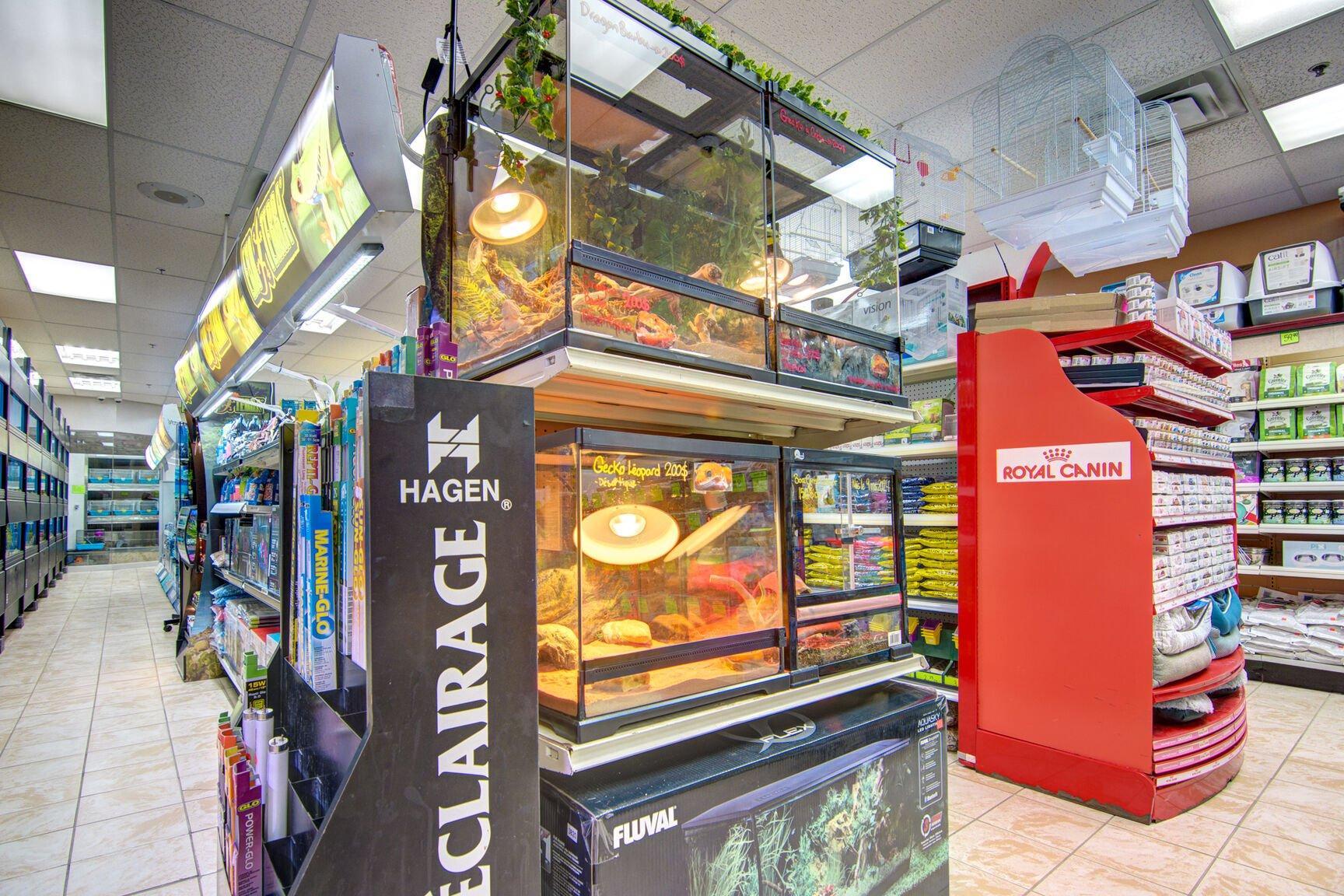 









12675


Rue Sherbrooke E.

,
Montréal (Rivière-des-Prairies/Pointe-aux-Trembles),




QC
H1A3W7

