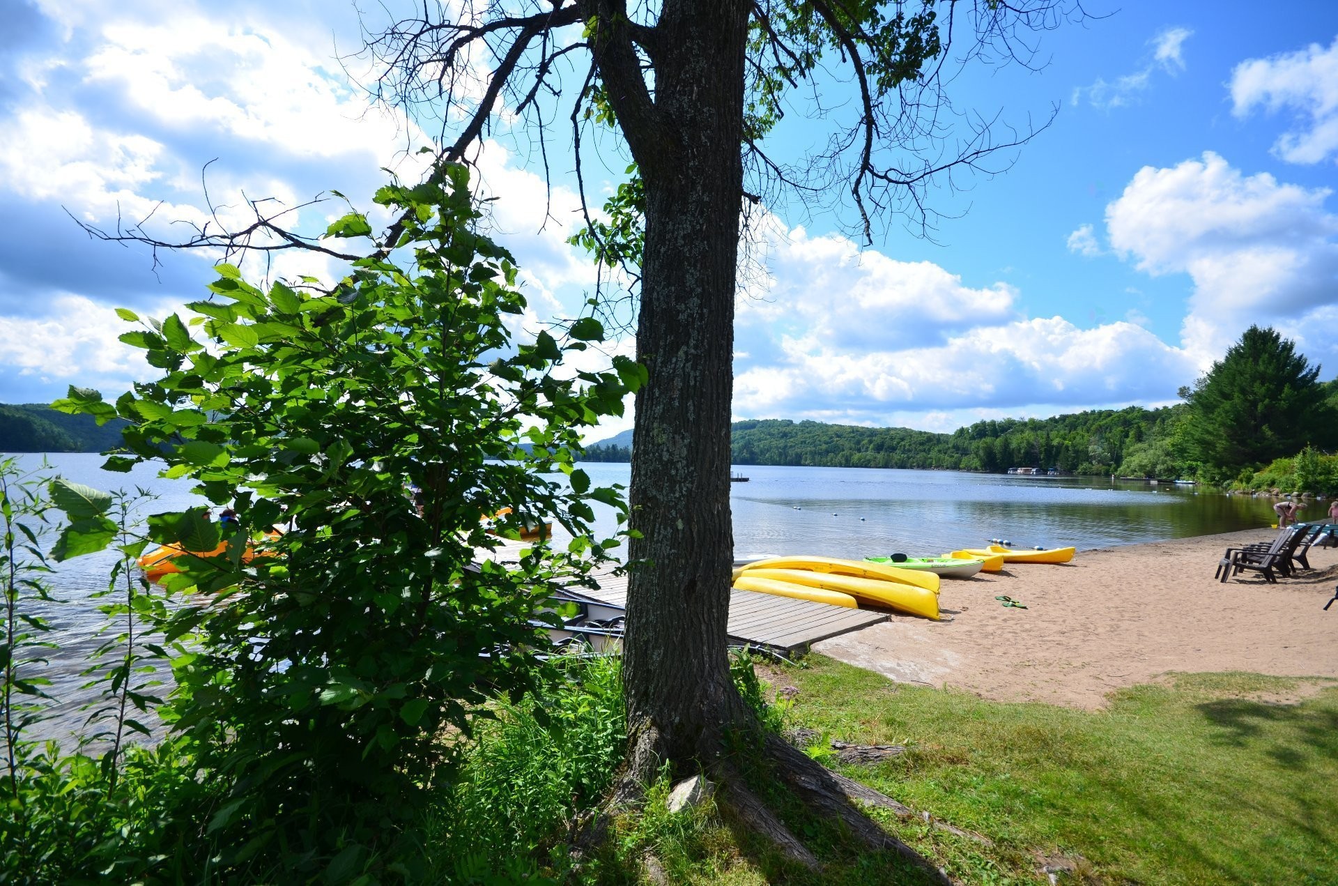 









2396


Rue Labelle

, 124,
Mont-Tremblant,




QC
J8E1T8

