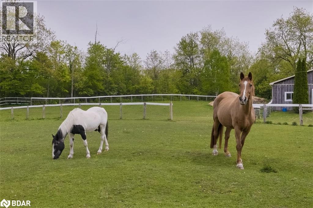 












10632 FIFTH Line

,
Milton,




Ontario
N0B2K0

