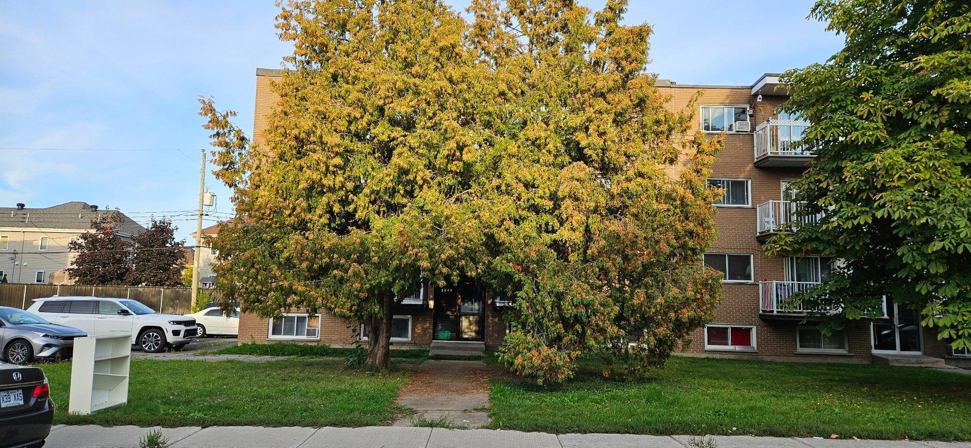 









2040


Rue des Patriotes

,
Laval (Sainte-Rose),




QC
H7L2N8

