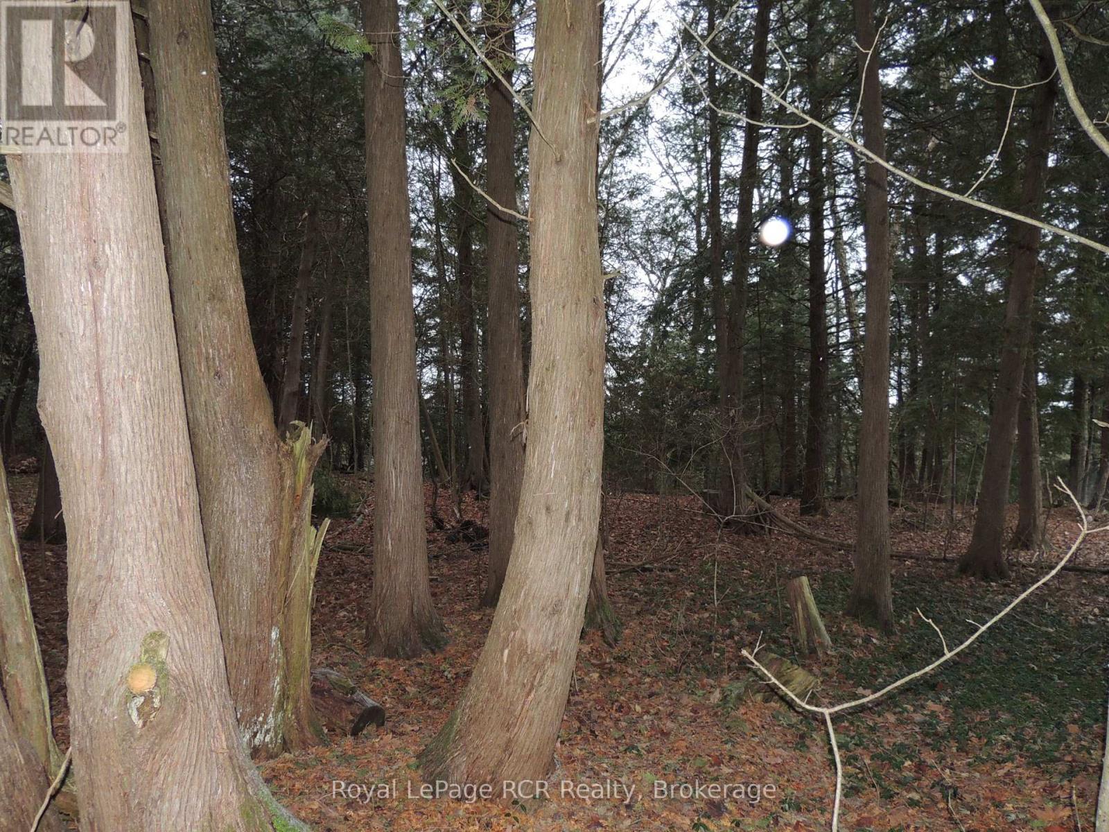 












PTLT 48 NORTH LINE

,
West Grey,







Ontario
N0C1K0

