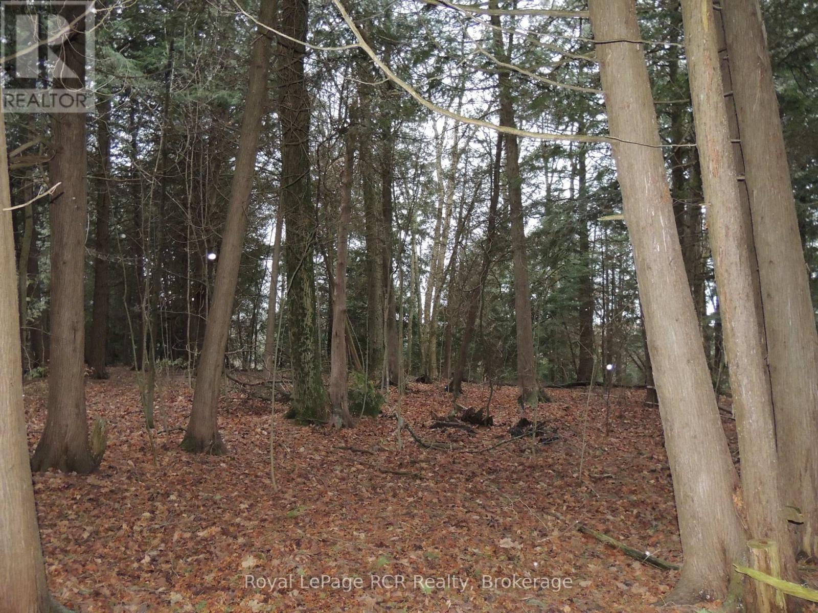 












PTLT 48 NORTH LINE

,
West Grey,







Ontario
N0C1K0

