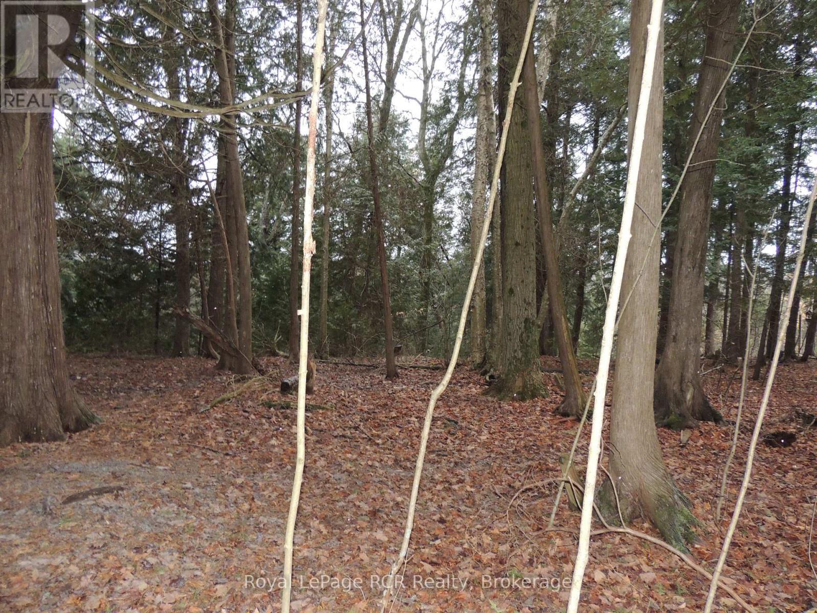 












PTLT 48 NORTH LINE

,
West Grey,







Ontario
N0C1K0

