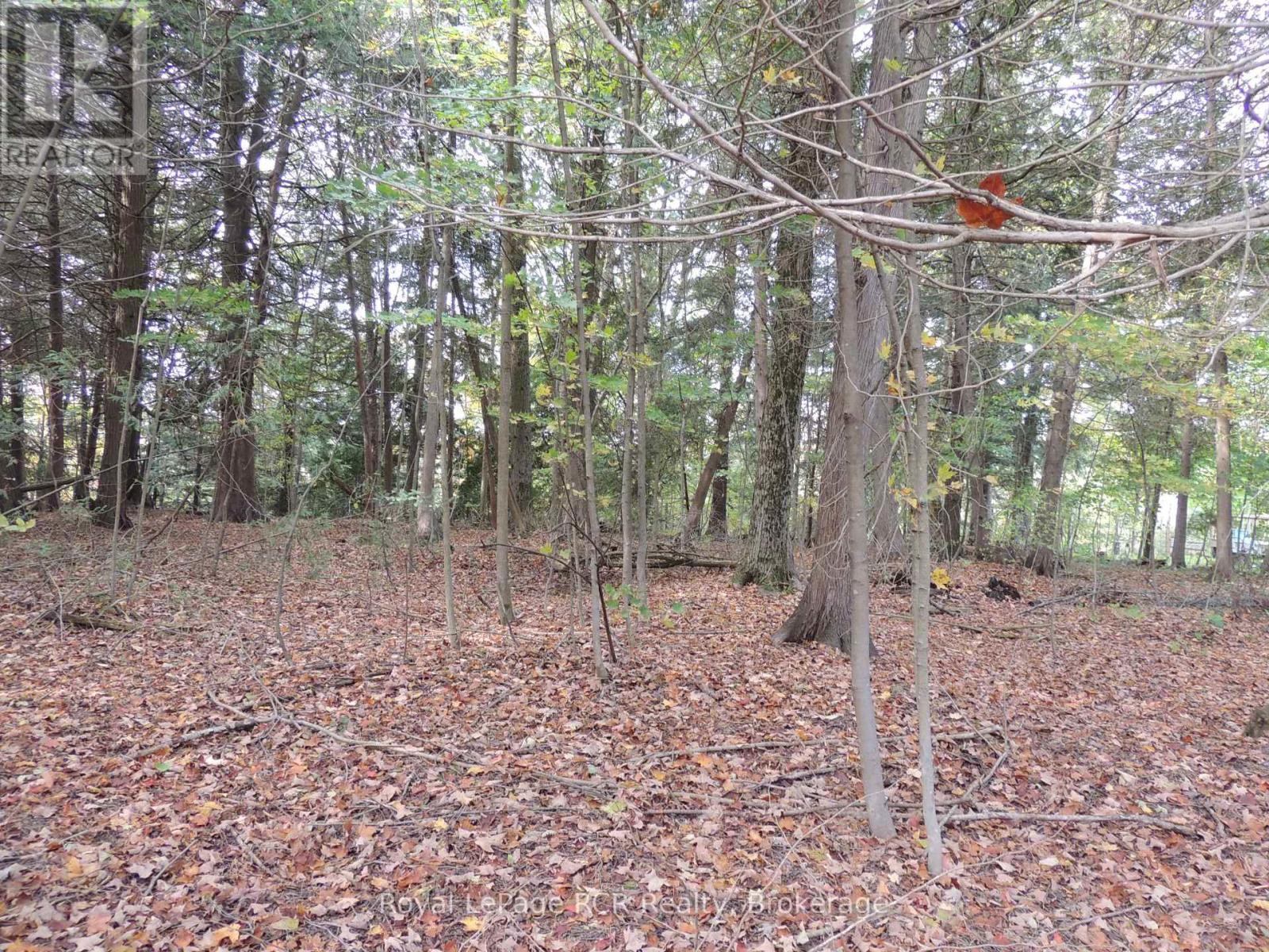 












PTLT 48 NORTH LINE

,
West Grey,







Ontario
N0C1K0

