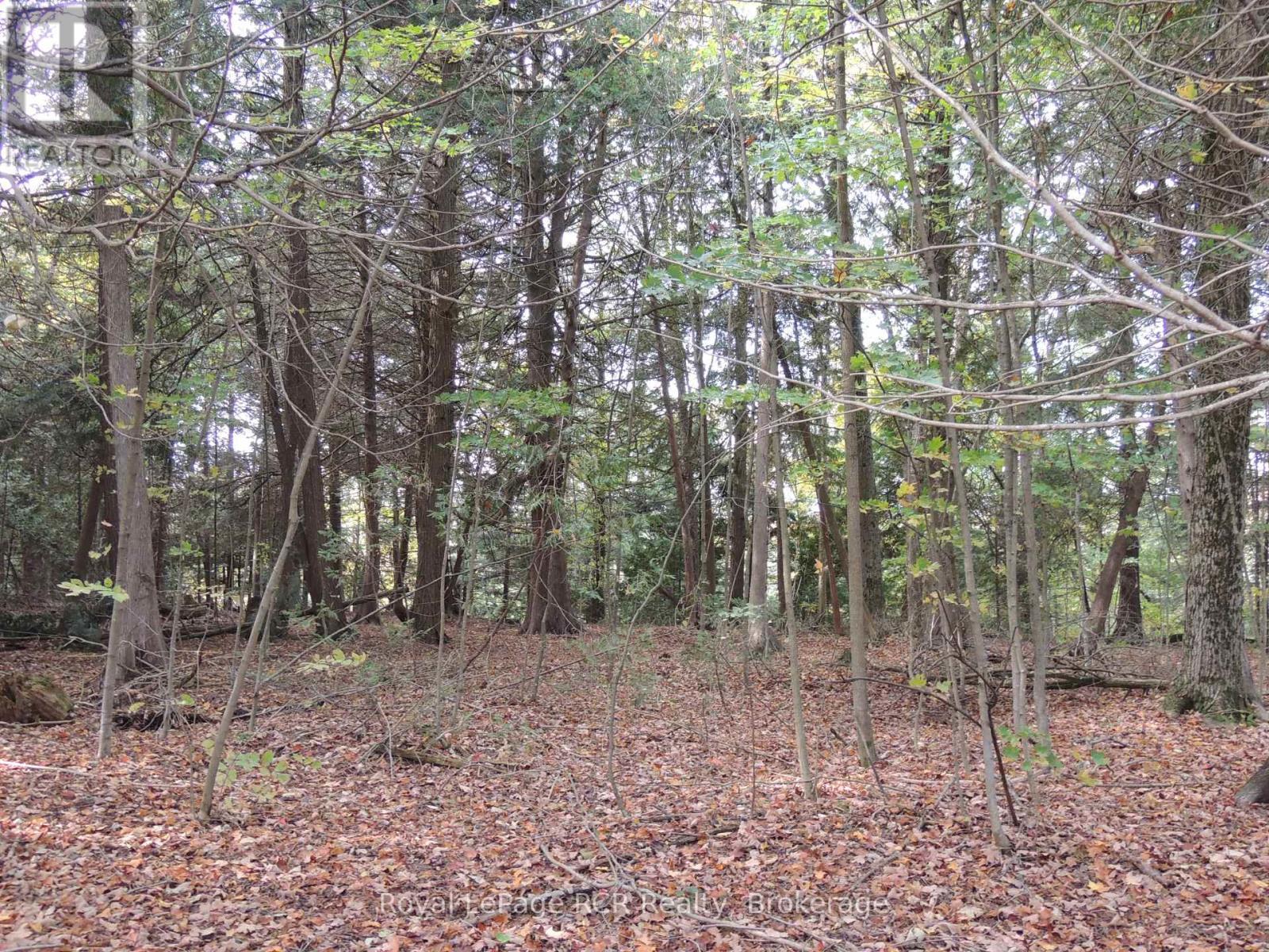 












PTLT 48 NORTH LINE

,
West Grey,







Ontario
N0C1K0

