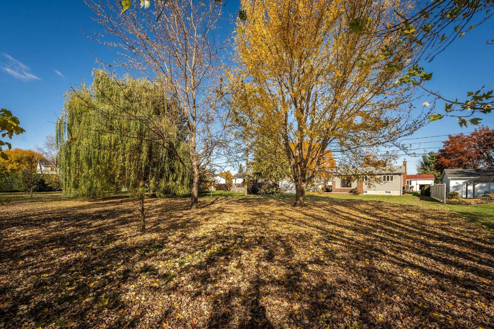 









86


Rue Deslauriers

,
Beloeil,




QC
J3G3E1

