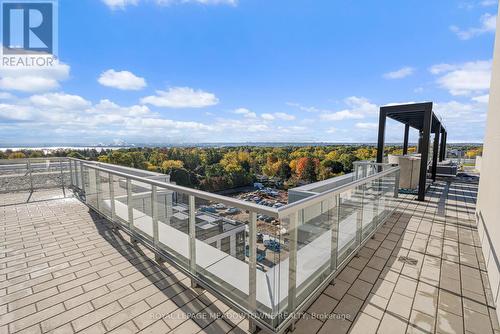 Roof top common area