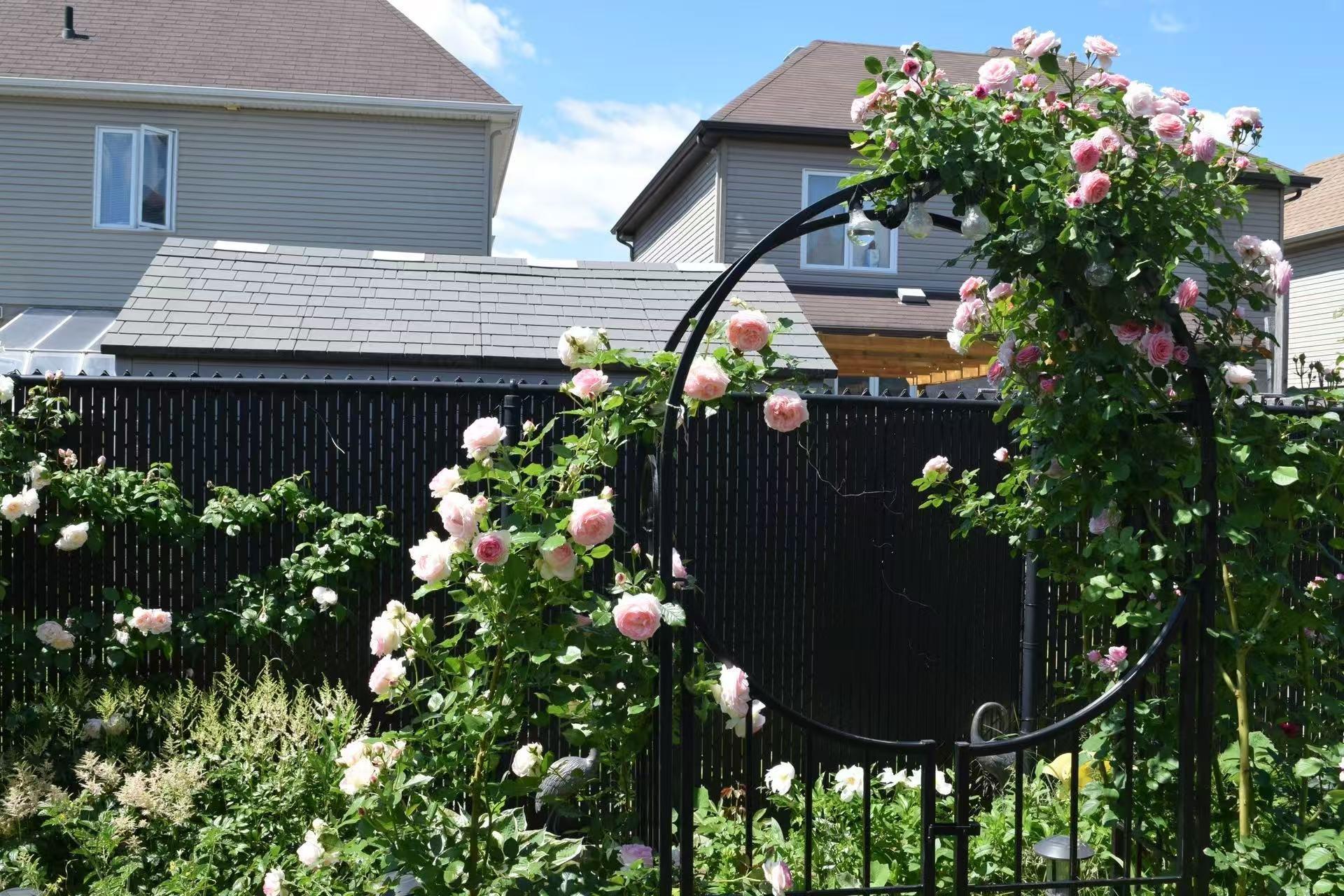 









6605


Rue Claudel

,
Brossard,




QC
J4Z0H1

