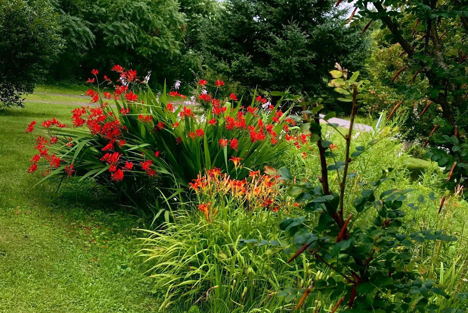 









18


Rue du Vieux-Verger

,
Brownsburg-Chatham,




QC
J8G2R1

