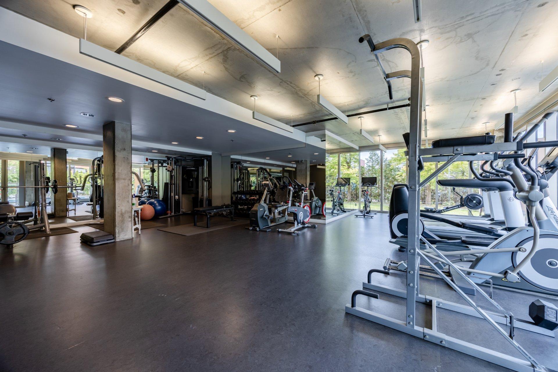 









905


Av. Plymouth

, 420,
Mont-Royal,




QC
H4P1B2

