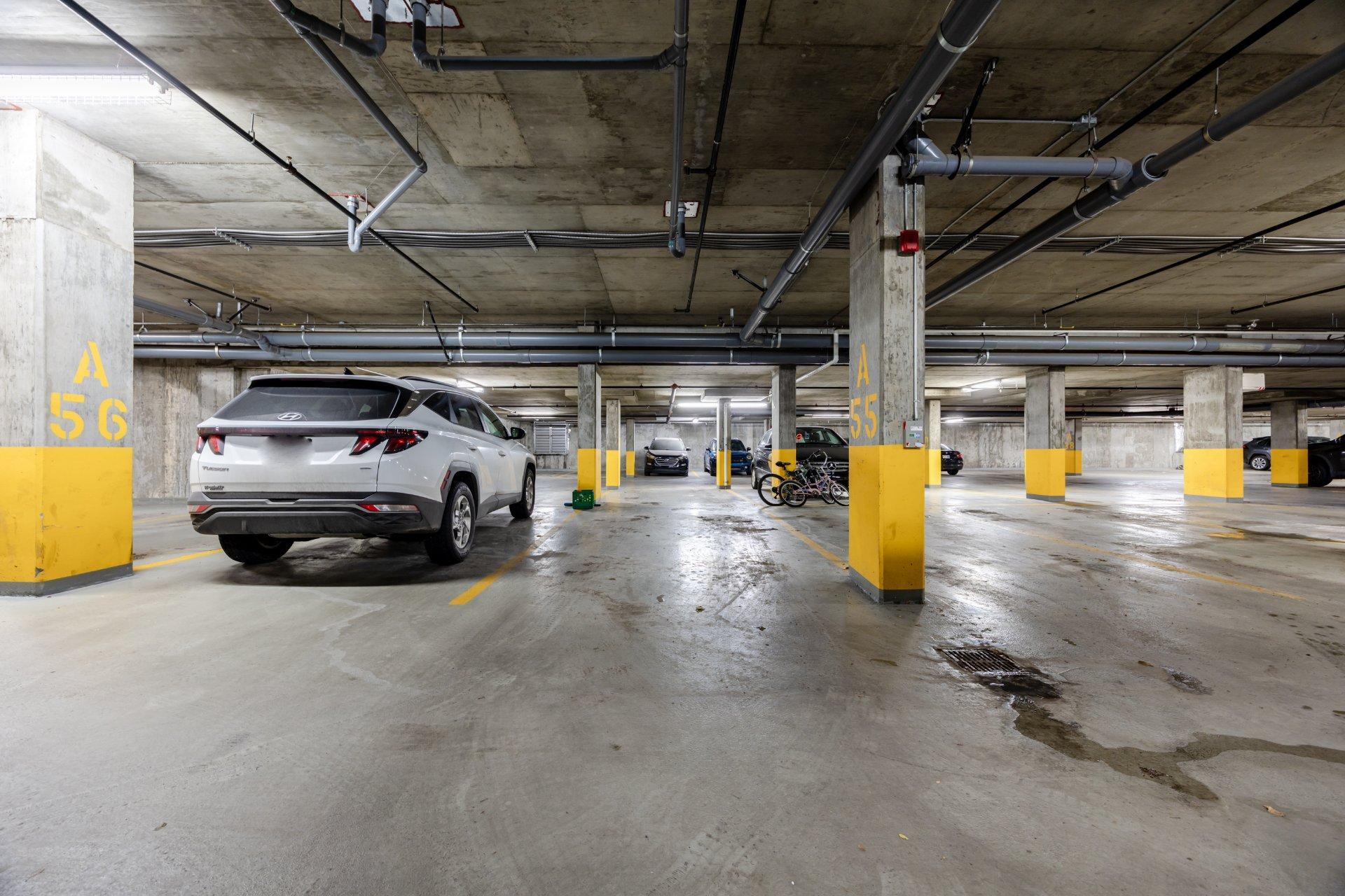 









905


Av. Plymouth

, 420,
Mont-Royal,




QC
H4P1B2

