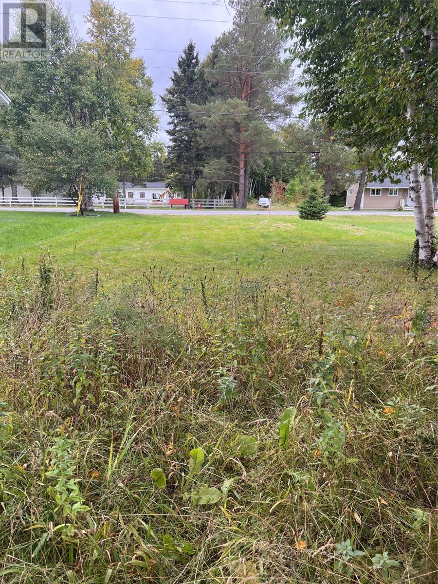 












106 A Midland Row

,
Pasadena,







Newfoundland & Labrador
A0L1K0

