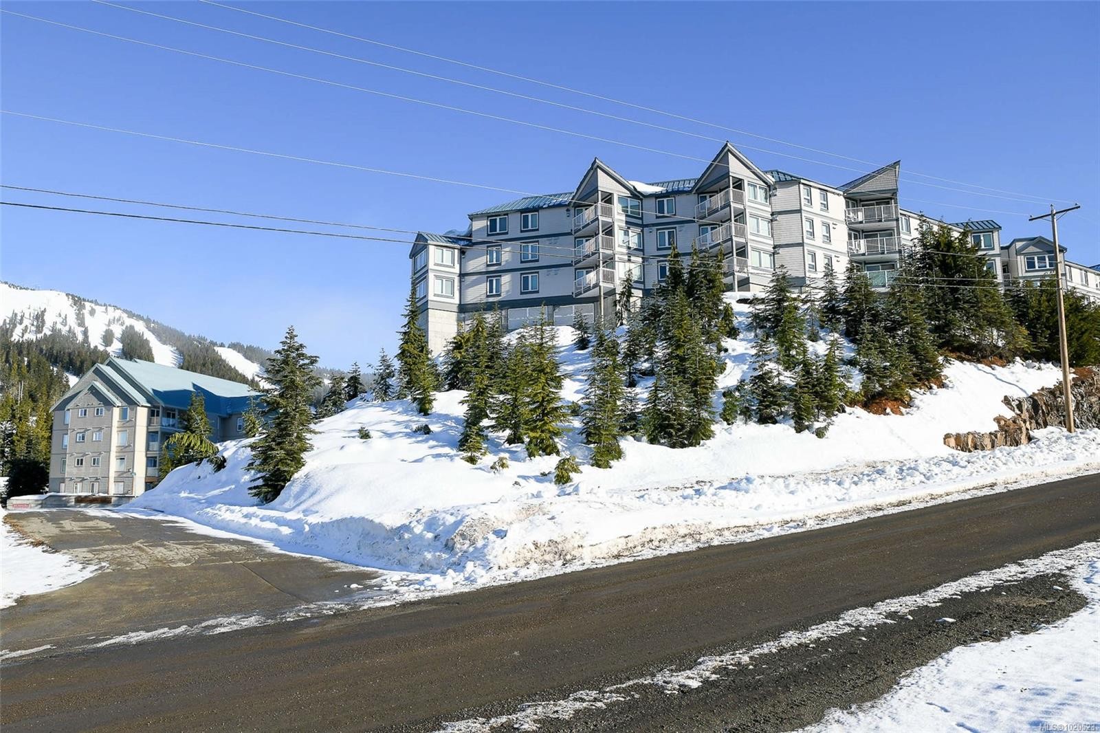 









1320


Henry

Rd, 217,
Courtenay,




BC
V9J 1L0

