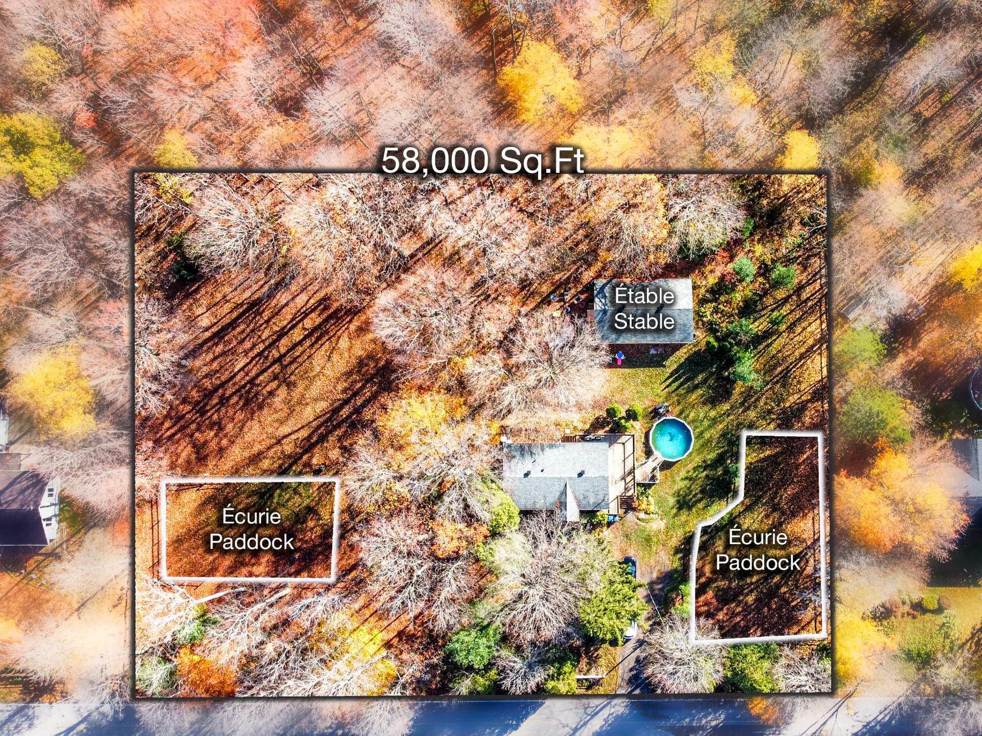 









1733Z


Mtée Harwood

,
Saint-Lazare,




QC
J7T2N3

