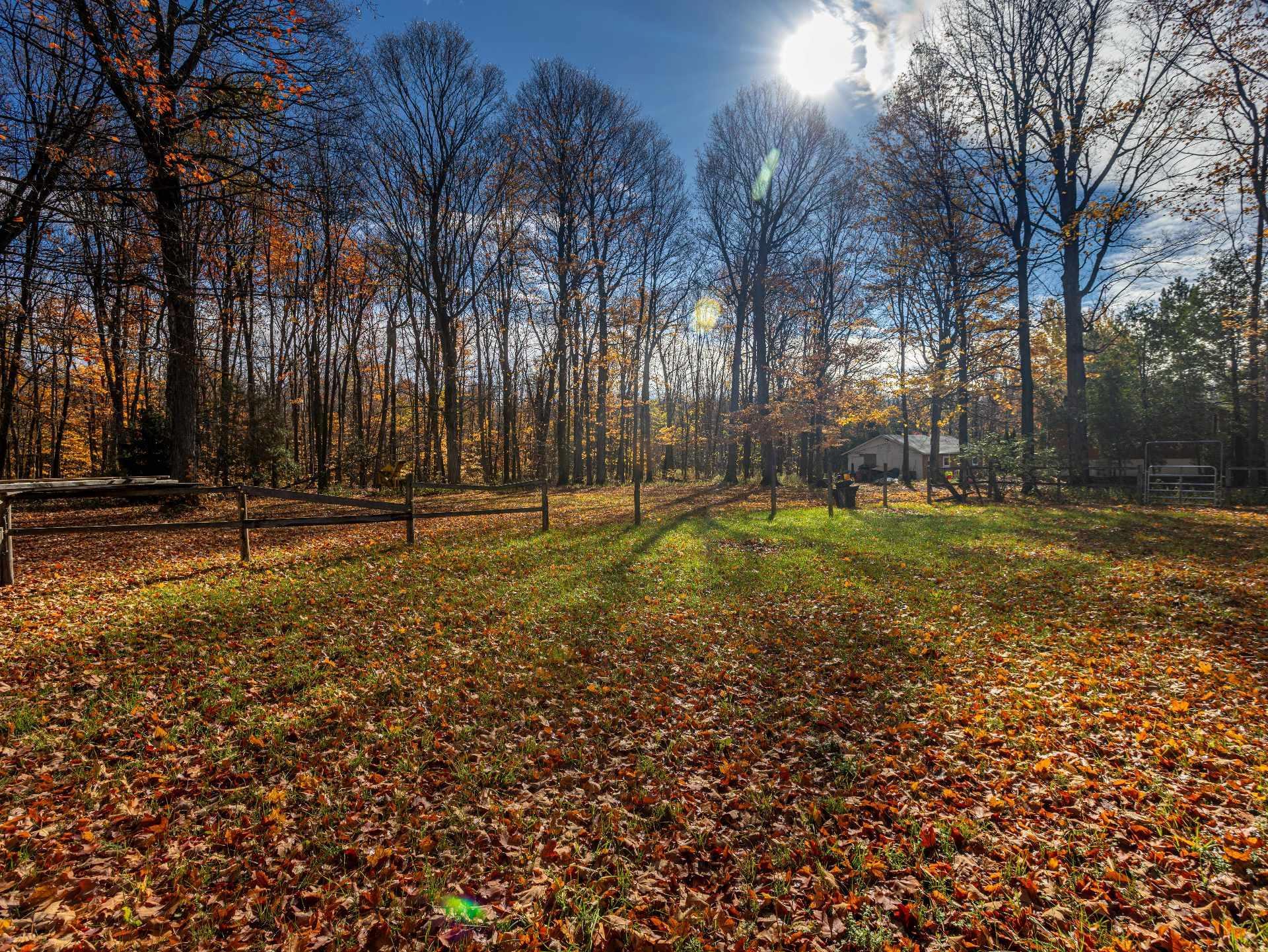 









1733Z


Mtée Harwood

,
Saint-Lazare,




QC
J7T2N3

