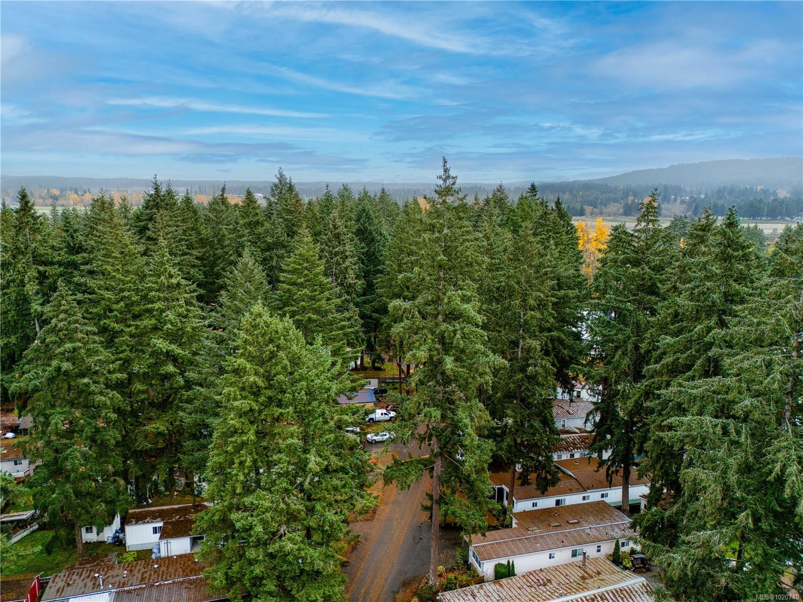 









3560


Hallberg

Rd, 54,
Cassidy,




BC
V9G 1K1

