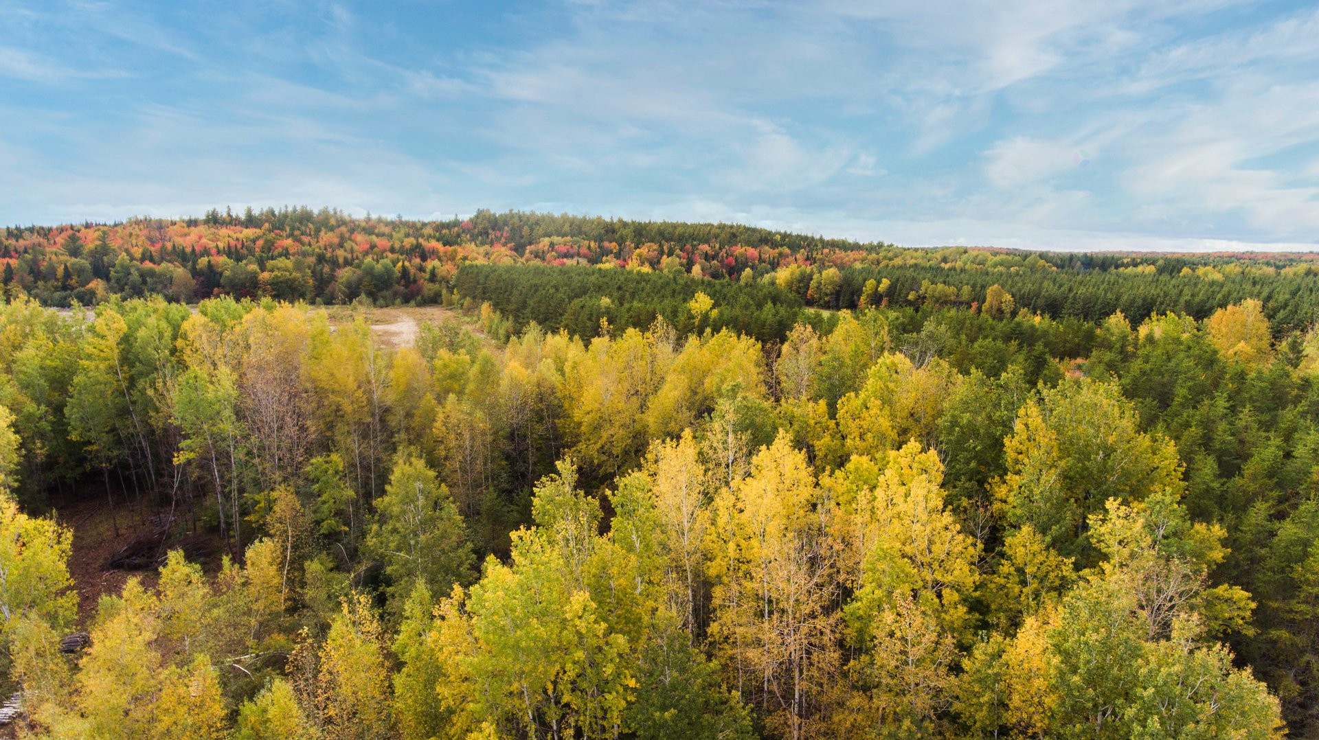 









1


Route 352

,
Saint-Adelphe,







QC
G0X2G0

