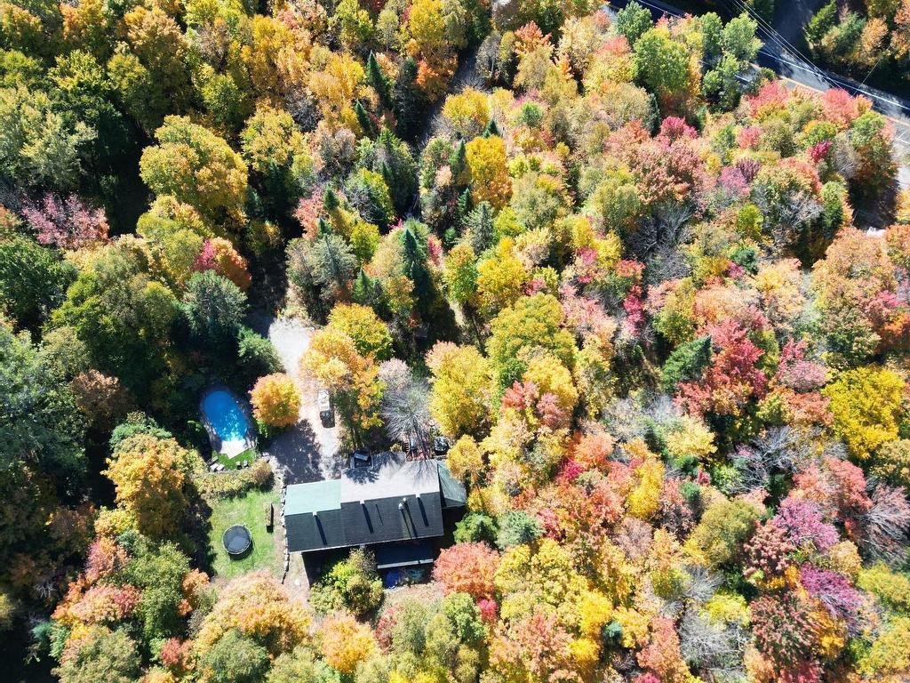 









48


Ch. du Lac-Supérieur

,
Saint-Faustin/Lac-Carré,




QC
J0T2G0

