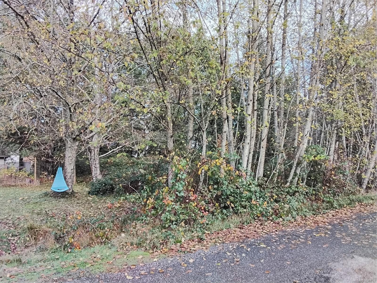 









Lot E


Tatton

Rd,
Courtenay,







BC
V9N 7E4

