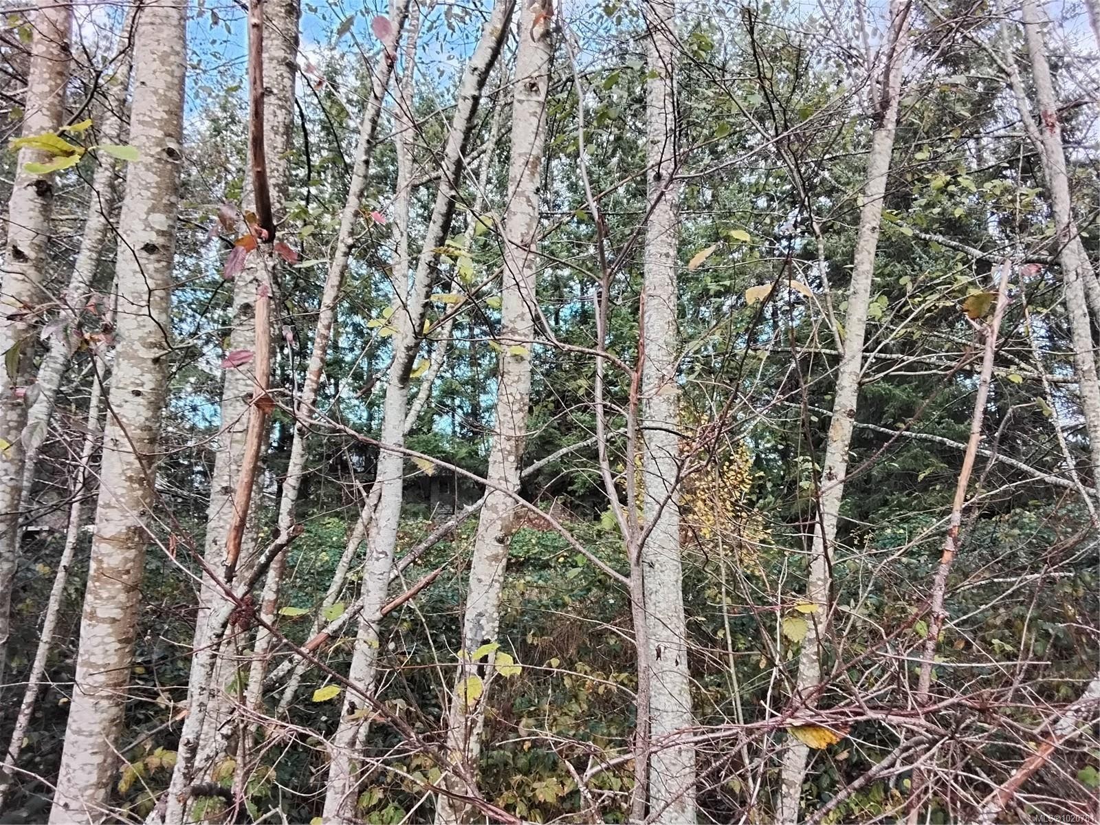 









Lot E


Tatton

Rd,
Courtenay,







BC
V9N 7E4

