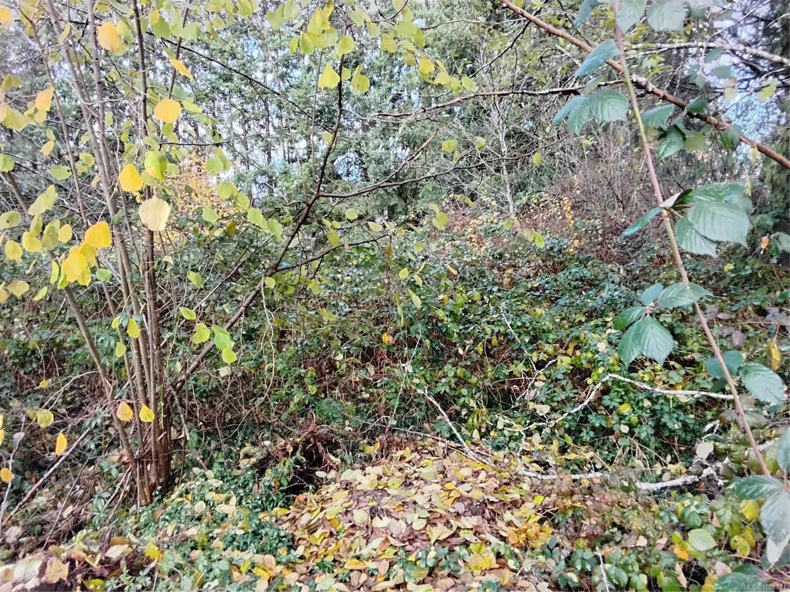 









Lot E


Tatton

Rd,
Courtenay,







BC
V9N 7E4

