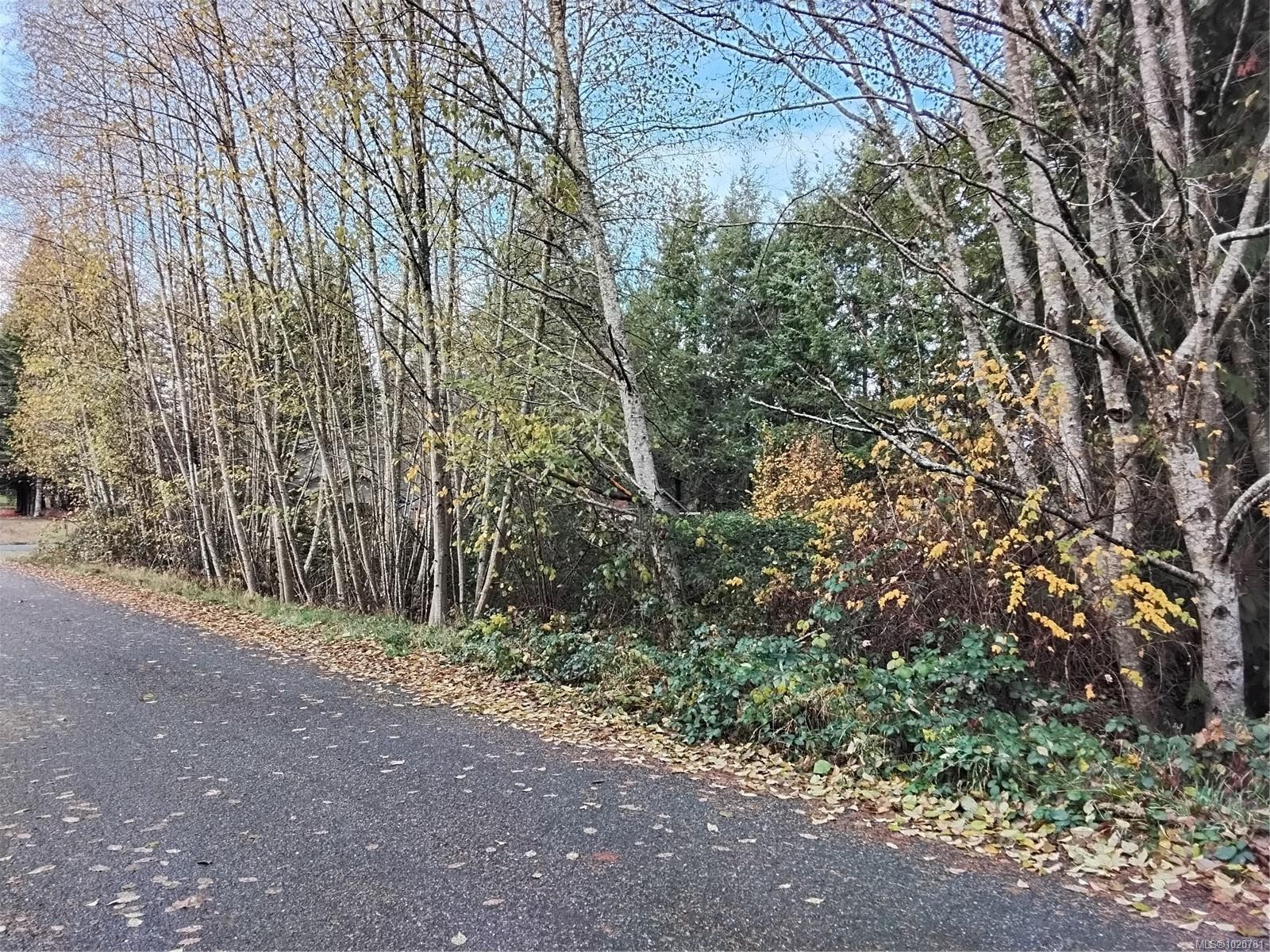 









Lot E


Tatton

Rd,
Courtenay,







BC
V9N 7E4

