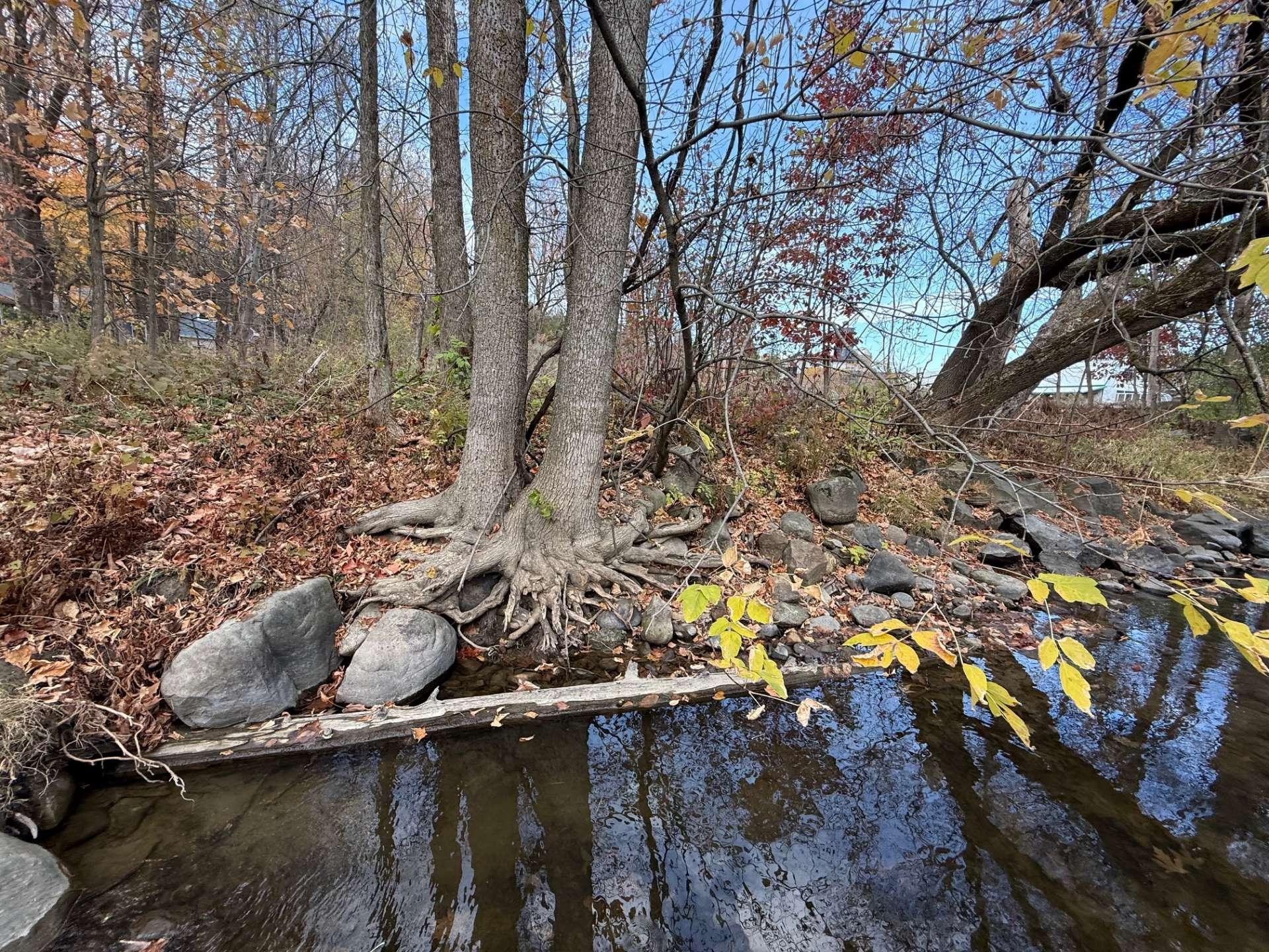












Ch. de l'Île-aux-Chats

,
Saint-André-d'Argenteuil,







QC
J0V1X0

