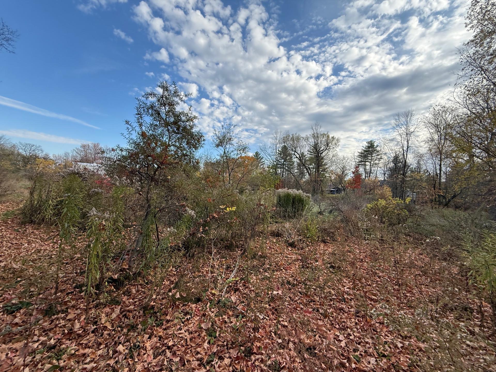 












Ch. de l'Île-aux-Chats

,
Saint-André-d'Argenteuil,







QC
J0V1X0

