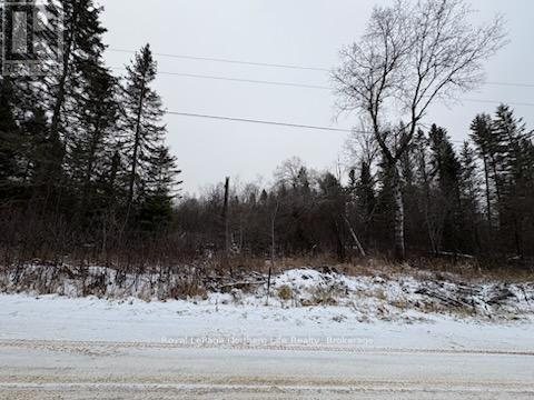 












LT 14  PART 1 HAZELWOOD ROAD

,
Papineau-Cameron (Papineau Cameron),







Ontario
P0H1V0

