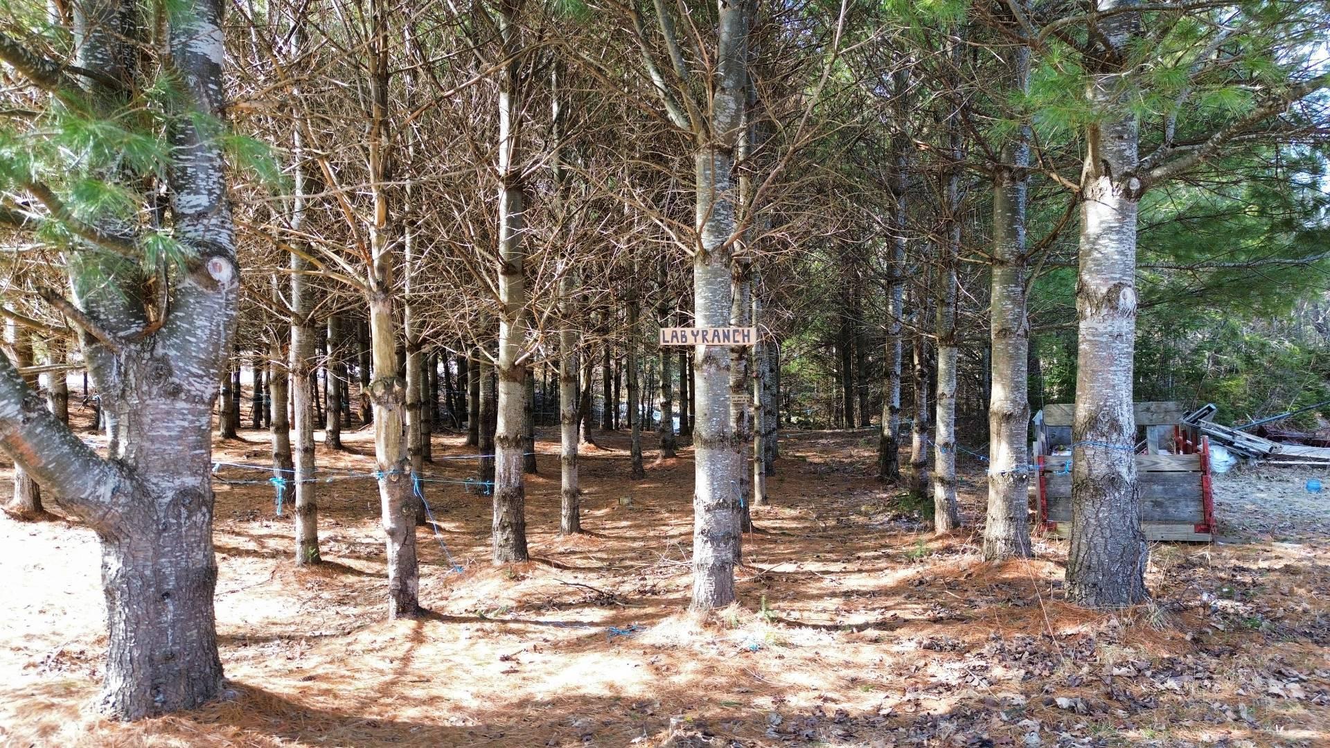 









36


Rg Cohoes

,
La Patrie,




QC
J0B1Y0

