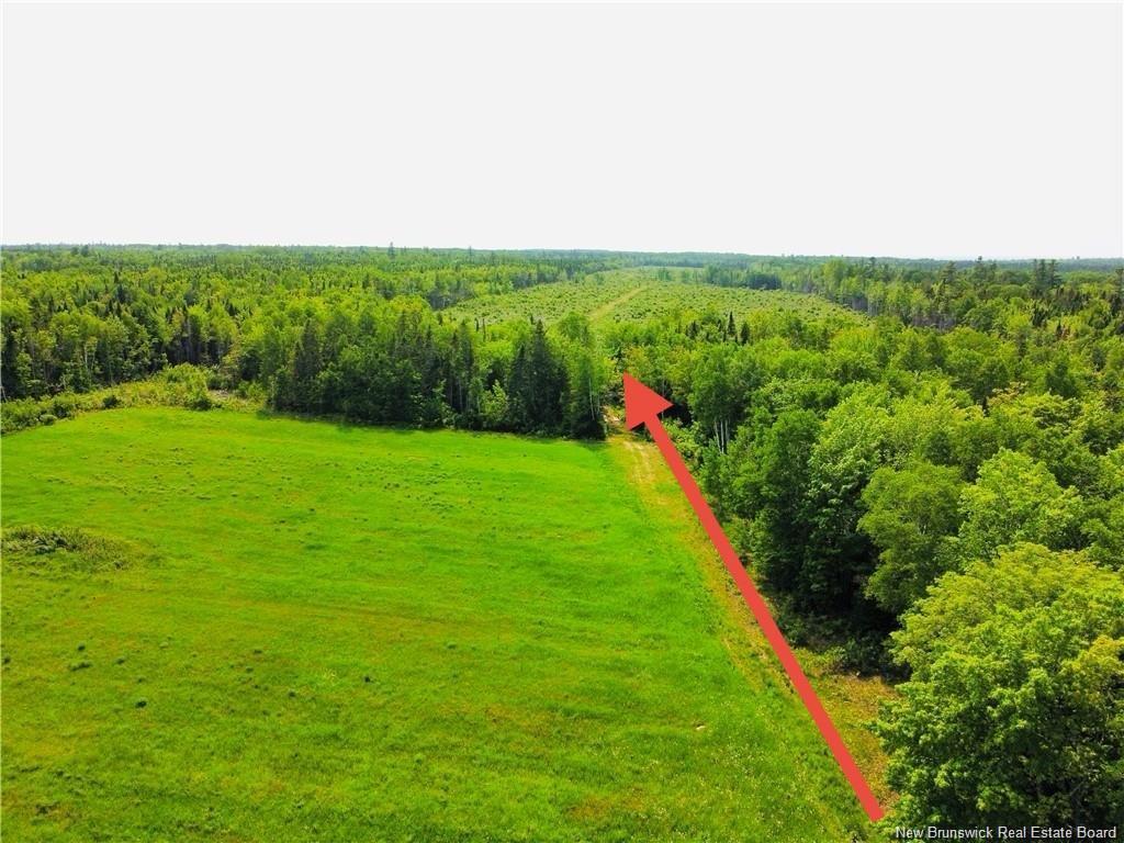 









-


Route 340

,
New Bandon,







NB
E2A 5E7

