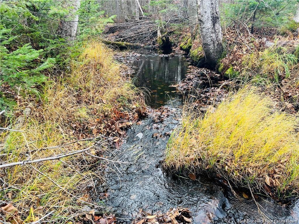 









-


Route 340

,
New Bandon,







NB
E2A 5E7

