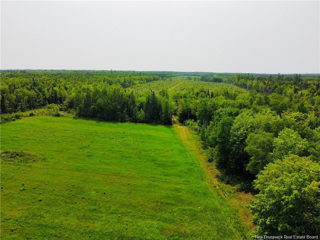 









-


Route 340

,
New Bandon,







NB
E2A 5E7

