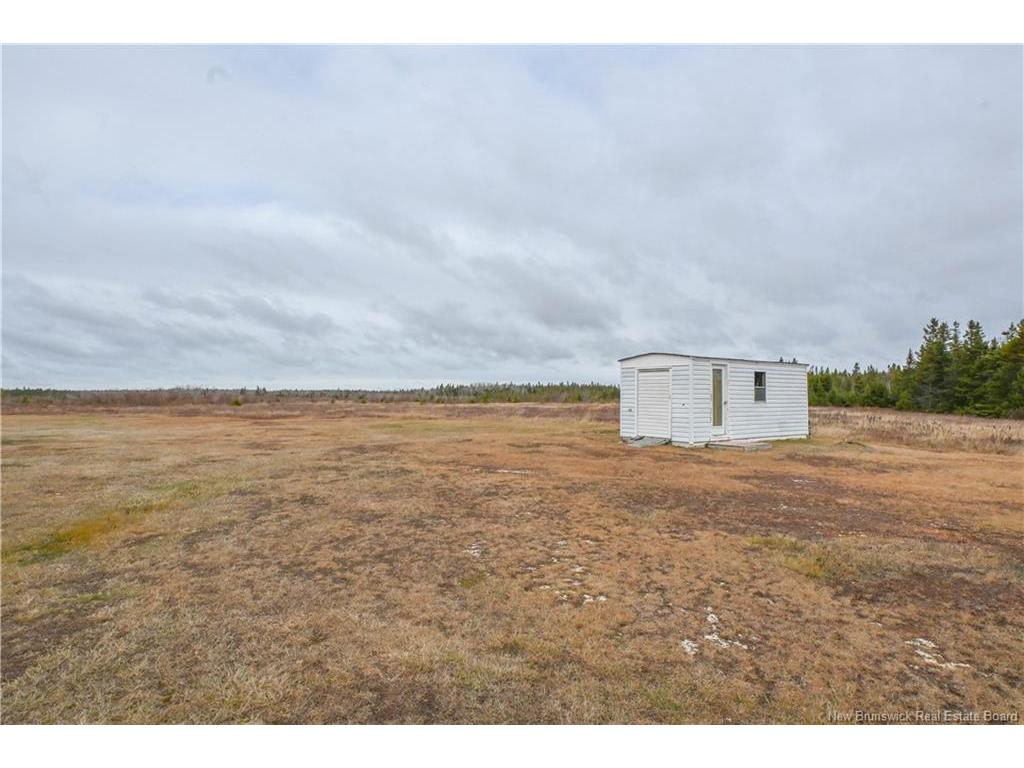 









31


rue du Hameau

ST,
Saint-Marie-Saint-Raphaël,




NB
E8T 1R4

