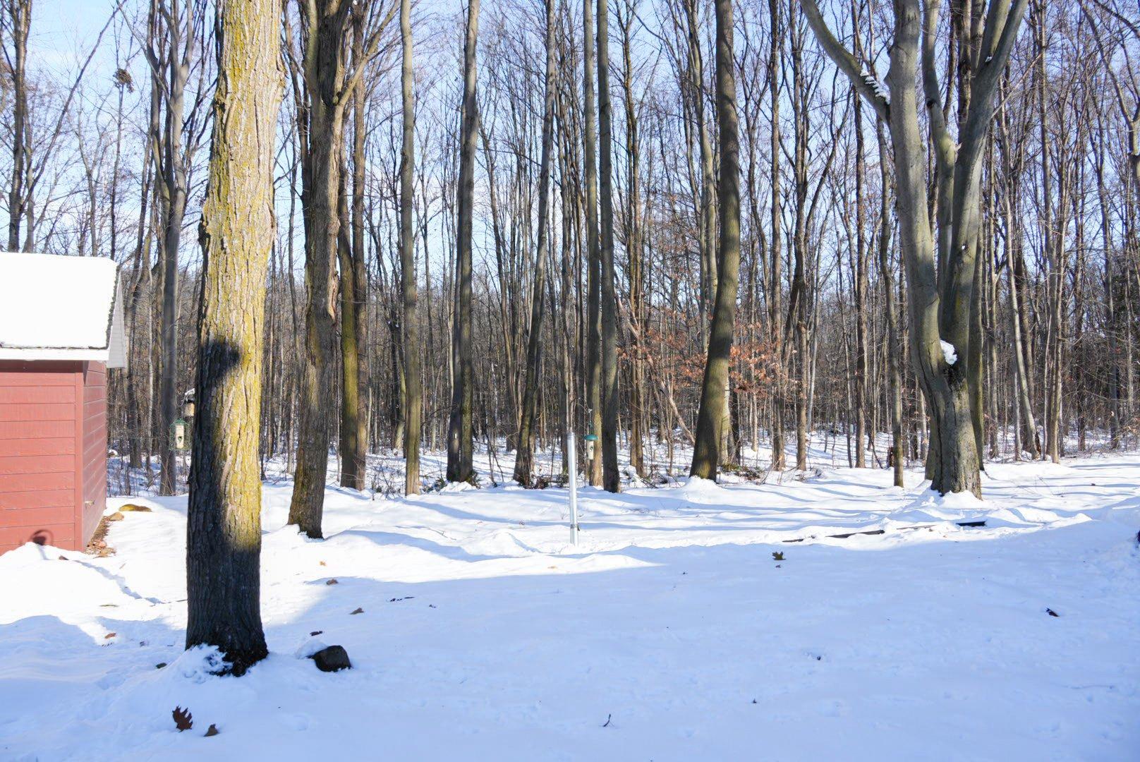 









1205


Av. de Louisbourg

,
Bécancour,




QC
G9H0M9

