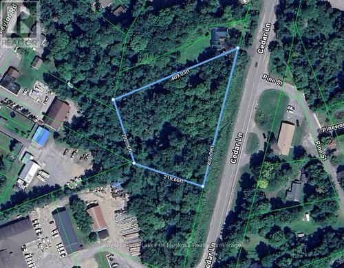 Featured Listing Photo 