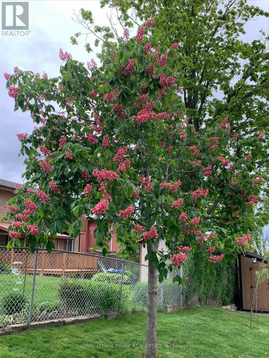 












38 CLEARVIEW COURT

,
Peterborough (Monaghan Ward 2),




Ontario
K9K2A3

