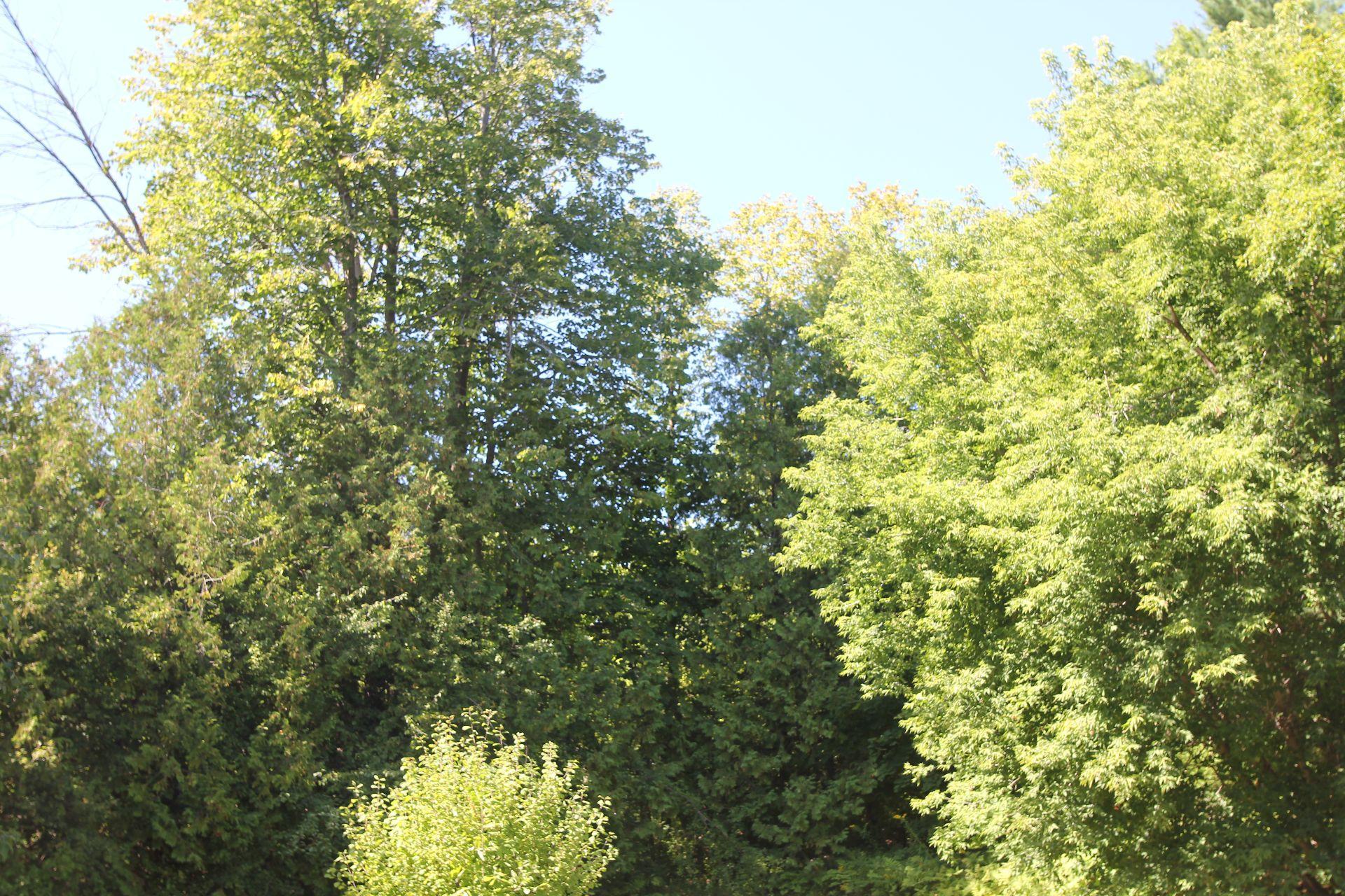 












Prom. Lakeview

,
Gatineau (Aylmer),







QC
J9H2A1

