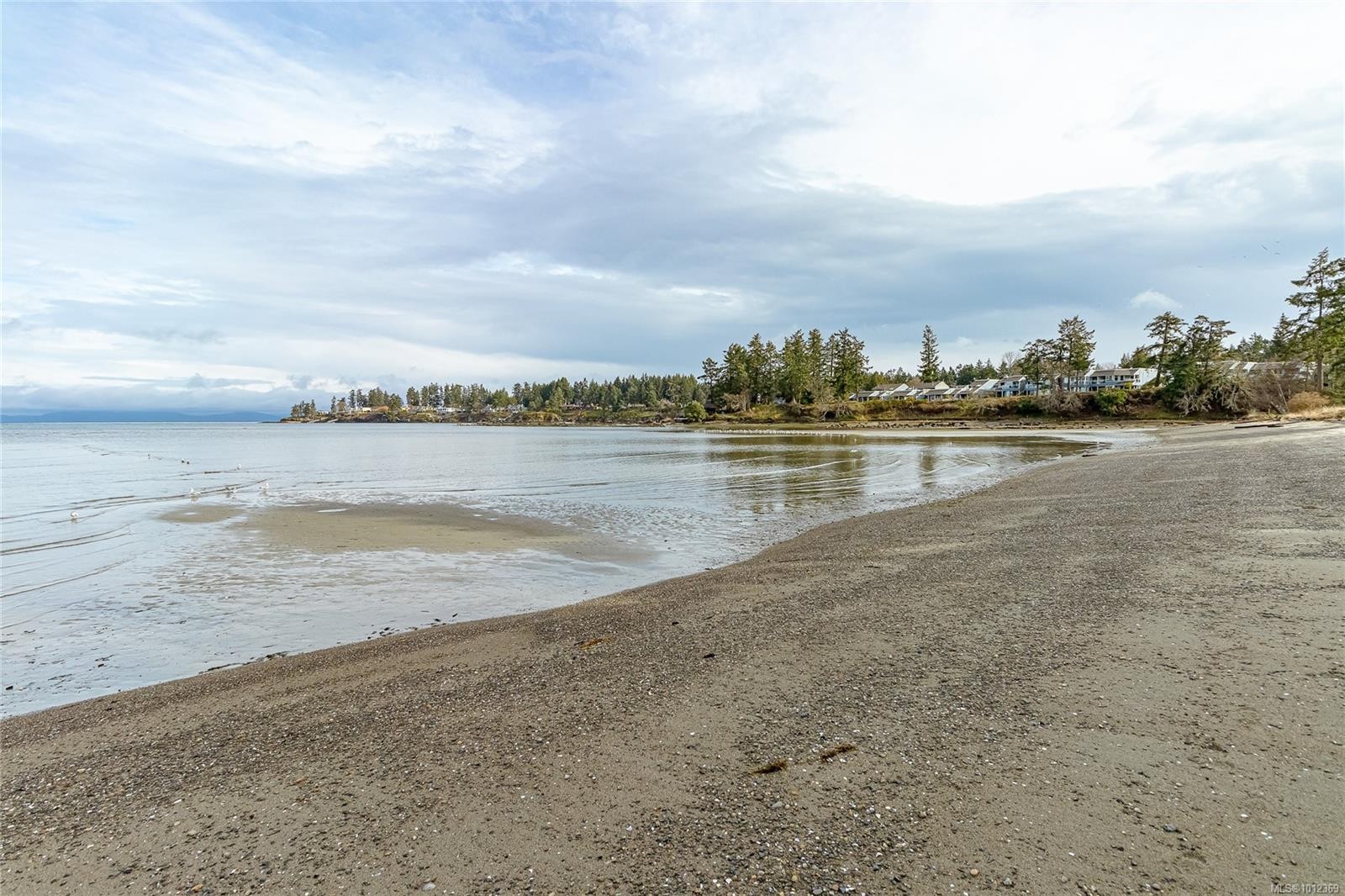 









1552


Terrien

Rd,
Nanoose Bay,




BC
V9P 9C3

