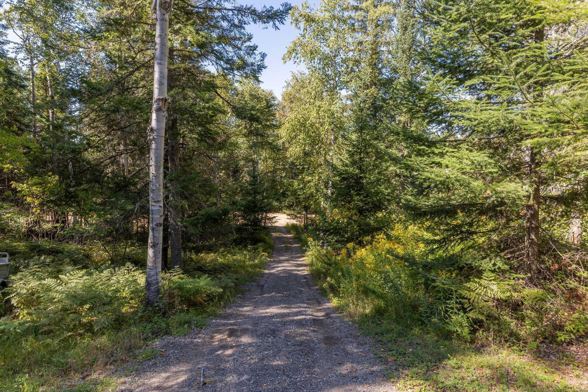 









80


Ch. Bordeleau

,
Saint-Michel-des-Saints,




QC
J0K3B0

