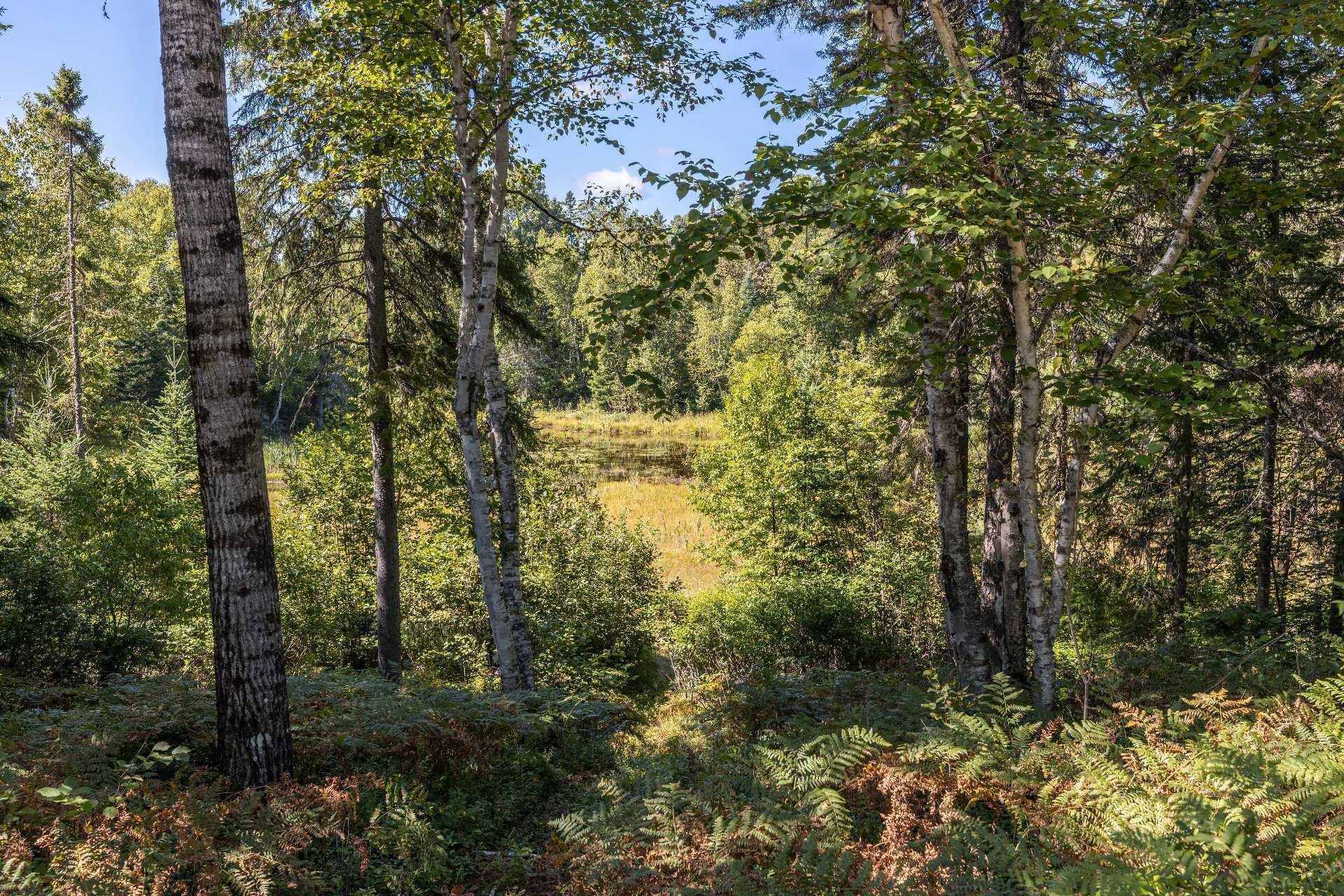 









80


Ch. Bordeleau

,
Saint-Michel-des-Saints,




QC
J0K3B0


