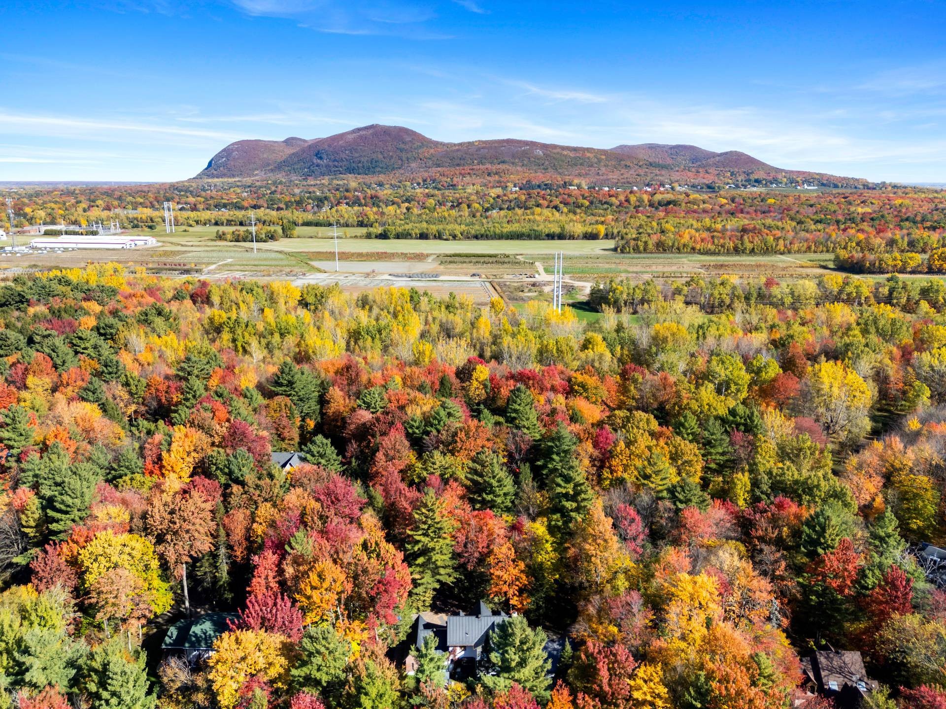 









1386


Rue des Peupliers

,
Mont-Saint-Hilaire,




QC
J3G2W3

