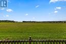 View From Backyard