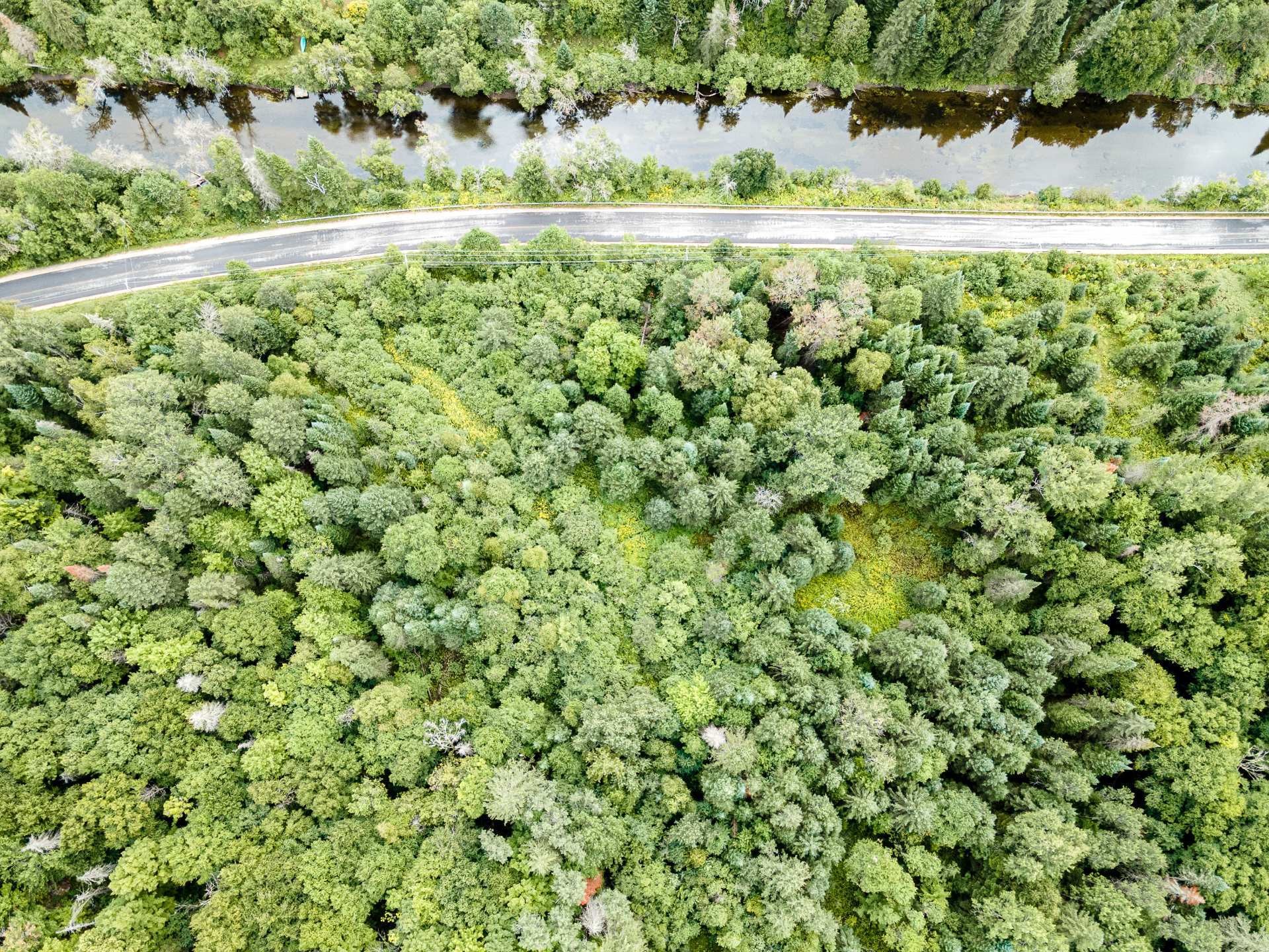 












Ch. Maskinongé

,
Boileau,







QC
J0V1N0

