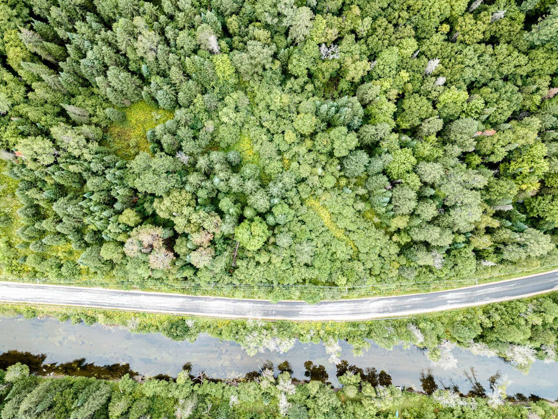 












Ch. Maskinongé

,
Boileau,







QC
J0V1N0

