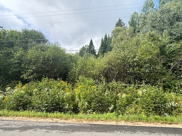 












Ch. Maskinongé

,
Boileau,







QC
J0V1N0

